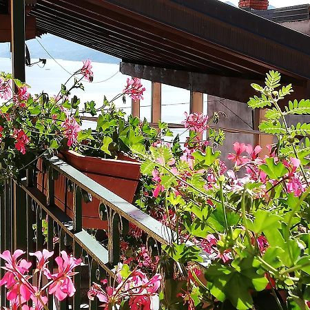 斯特雷萨Campino住宿加早餐旅馆 外观 照片